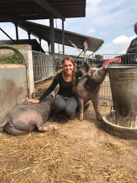 Luisa und die Schweine 